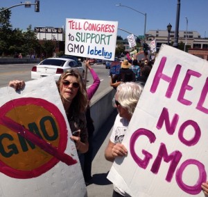 GMOs